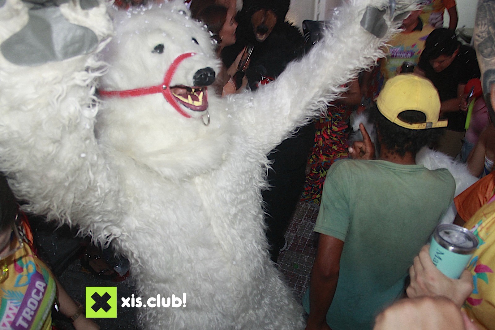 xis.club! / Carnaval 2025: Troça do Urso Branco